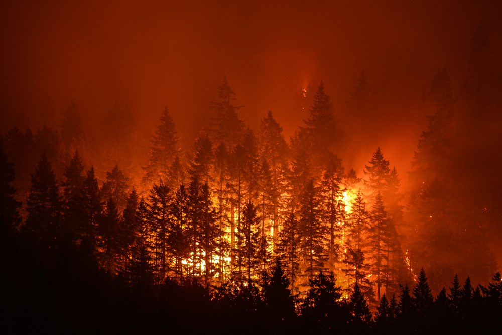 Wildfires Inspire CA Firms To Collaborate For Potential Civil Action Against PG&E